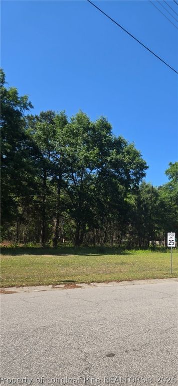 4028 S Main St & Edwin Deaver Street, Hope Mills, NC 28348 — exterior