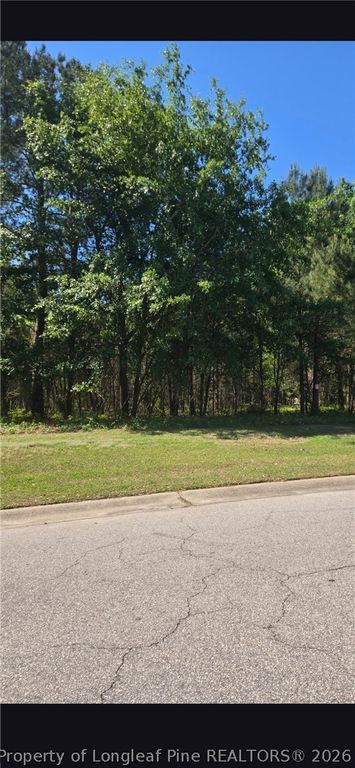 4028 S Main St & Edwin Deaver Street, Hope Mills, NC 28348 — photo 2