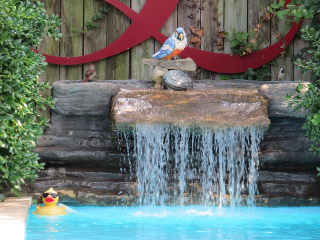 1352 E Elm Street, Springfield, MO 65802