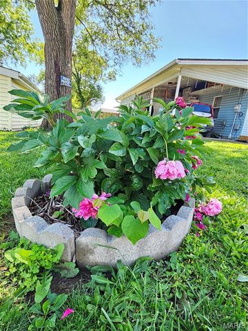 150 Hill Street, Bonne Terre, MO 63628