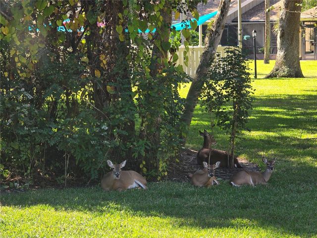 4548 FOREST WOOD TRAIL 27, Sarasota, FL 34241