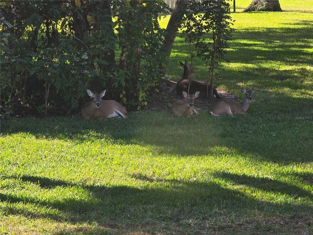 4548 FOREST WOOD TRAIL 27, Sarasota, FL 34241