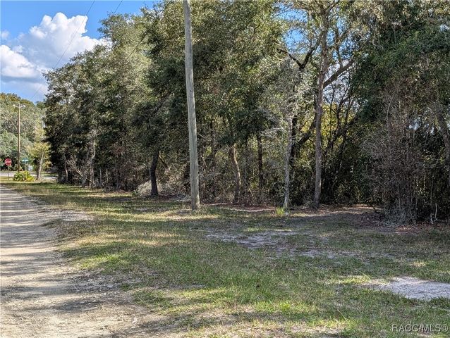4114 E Camp Izzard Place, Dunnellon, FL 34434