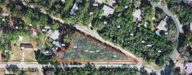 4114 E Camp Izzard Place, Dunnellon, FL 34434