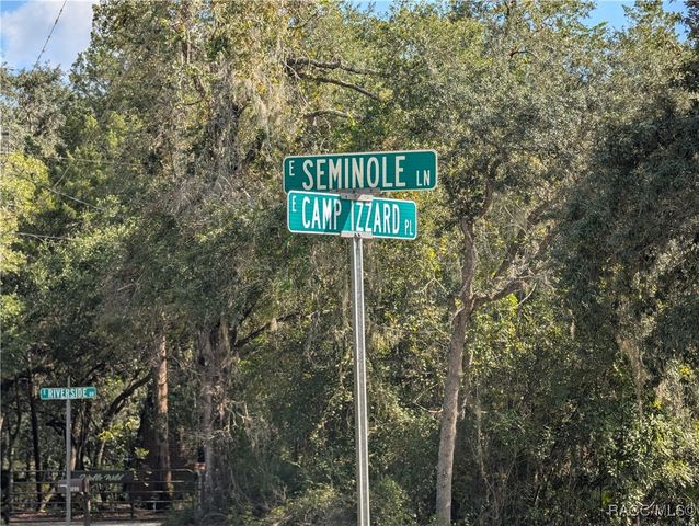 4114 E Camp Izzard Place, Dunnellon, FL 34434