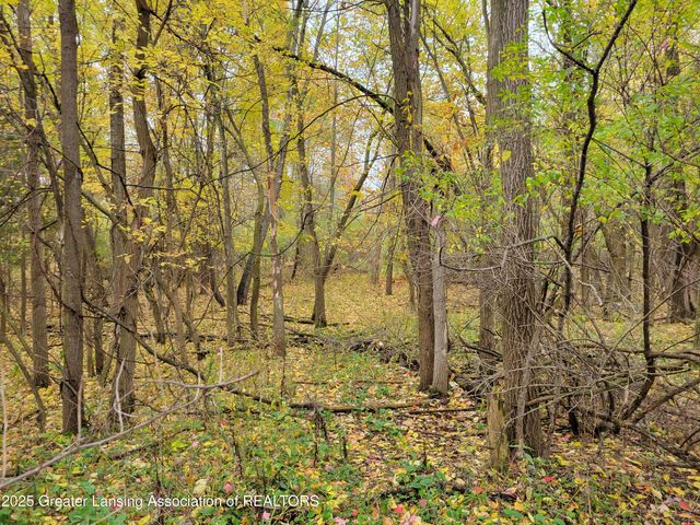 0 N Aurelius Road, Lansing, MI 48910