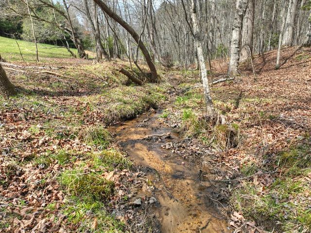 11.32 AC Indian Trace, Mineral Bluff, GA 30559