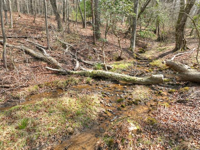 11.32 AC Indian Trace, Mineral Bluff, GA 30559