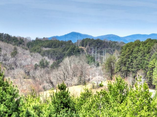 11.32 AC Indian Trace, Mineral Bluff, GA 30559
