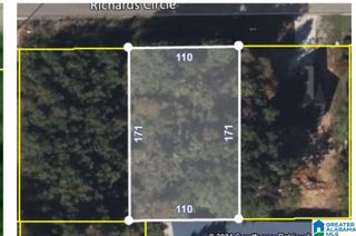 380 RICHARDS CIRCLE, Pell City, AL 35128