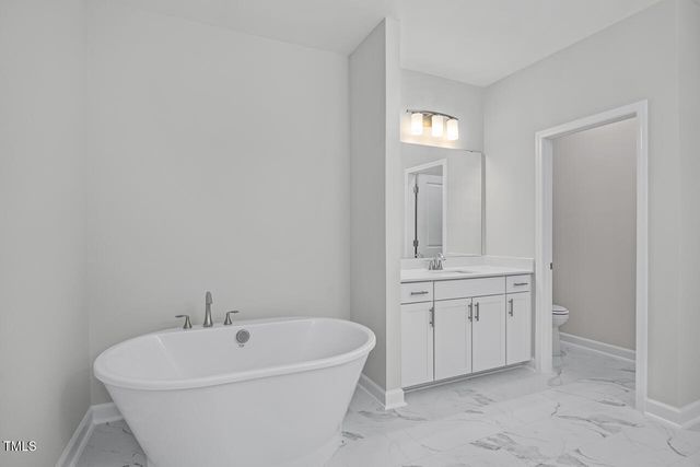 436 Golden Dragonfly Street, Wake Forest, NC 27587