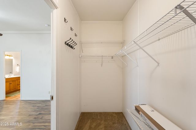 9247 S EL THUMA REAL --, Hereford, AZ 85615