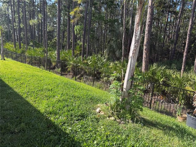 1339 MORNING WALK DRIVE, Ormond Beach, FL 32174