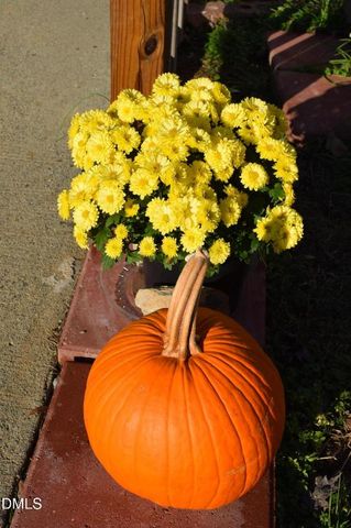 652 Hazel Lawson Road, Roxboro, NC 27574