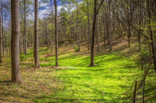 0 Gothard Road, Sale Creek, TN 37373