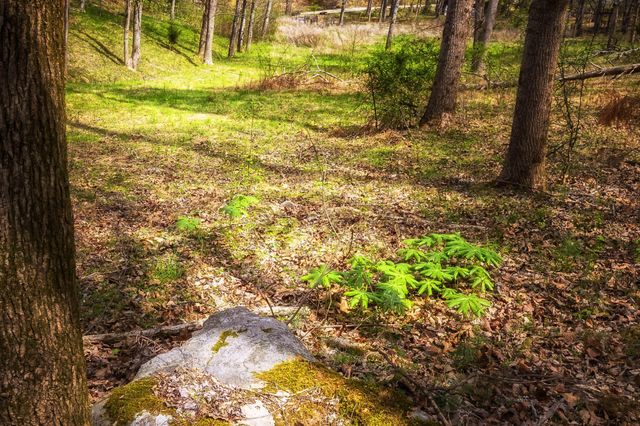 0 Gothard Road, Sale Creek, TN 37373
