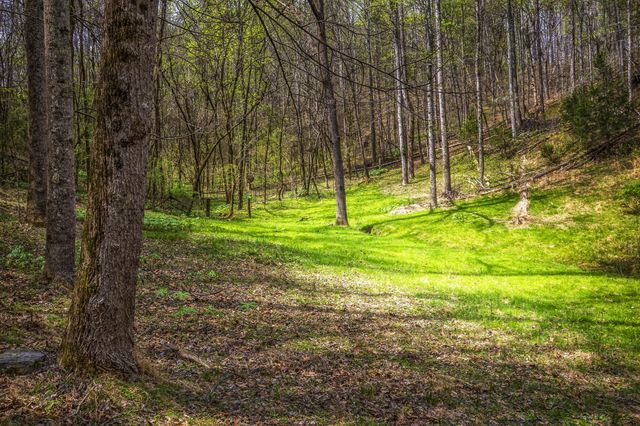 0 Gothard Road, Sale Creek, TN 37373