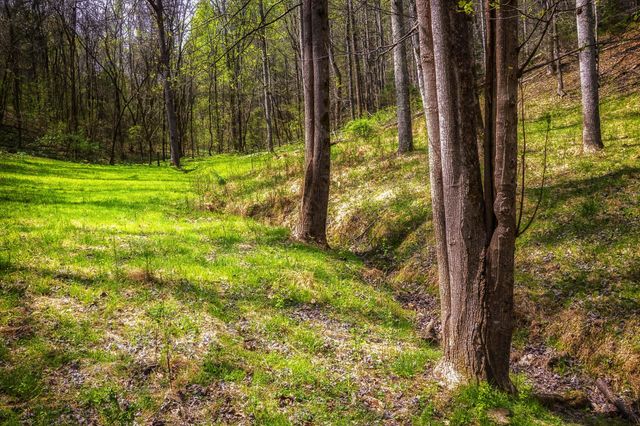 0 Gothard Road, Sale Creek, TN 37373