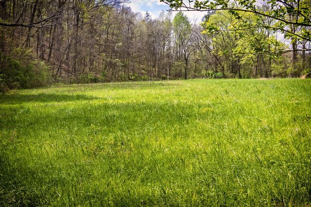 0 Gothard Road, Sale Creek, TN 37373