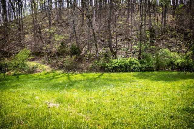 0 Gothard Road, Sale Creek, TN 37373