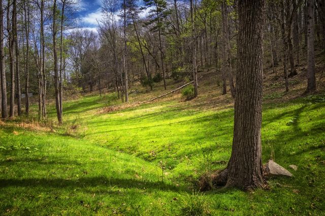 0 Gothard Road, Sale Creek, TN 37373