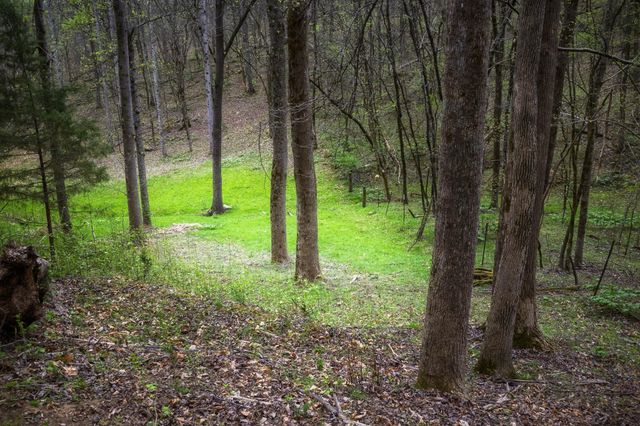0 Gothard Road, Sale Creek, TN 37373