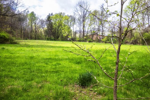 0 Gothard Road, Sale Creek, TN 37373