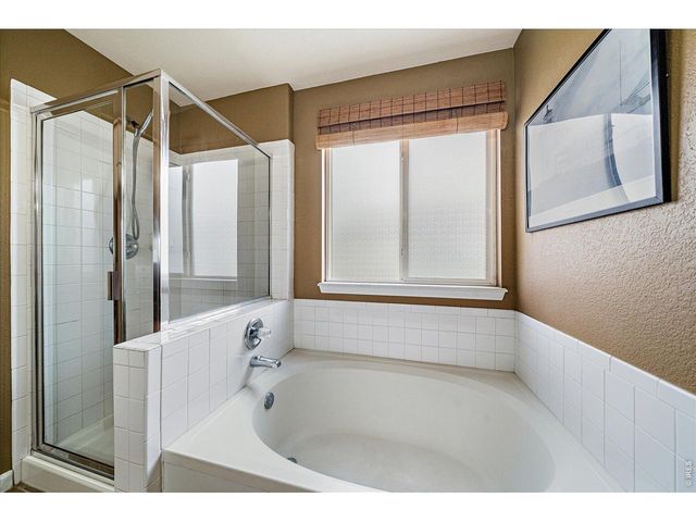 1895 Rough Ct, Castle Rock, CO 80109