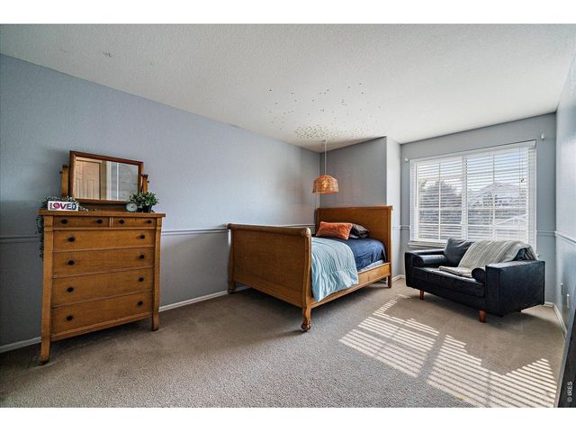1895 Rough Ct, Castle Rock, CO 80109