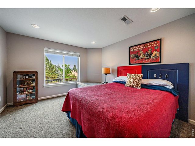 1895 Rough Ct, Castle Rock, CO 80109