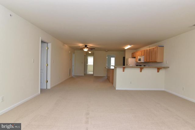 1306 CAITLINS WAY, Millsboro, DE 19966