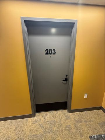 1117 West Fayette Street 203, Syracuse, NY 13204