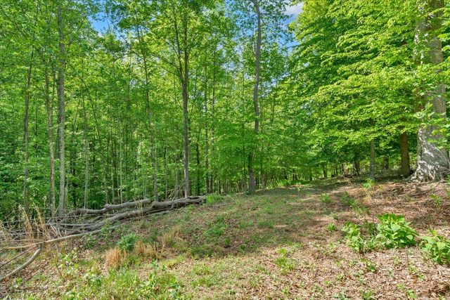 0 Somerset Cove RD, Union Hall, VA 24176