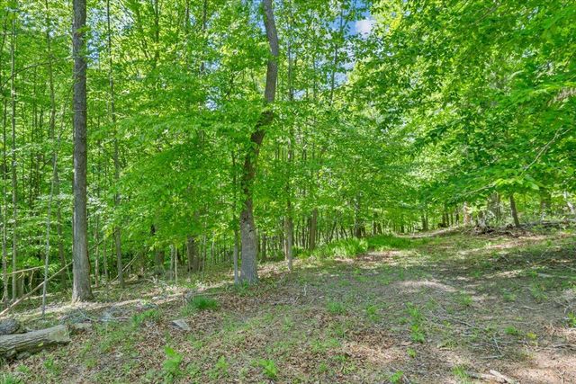0 Somerset Cove RD, Union Hall, VA 24176