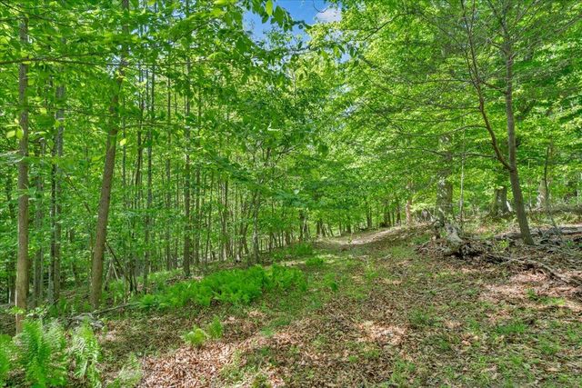 0 Somerset Cove RD, Union Hall, VA 24176