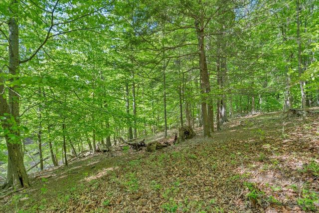 0 Somerset Cove RD, Union Hall, VA 24176
