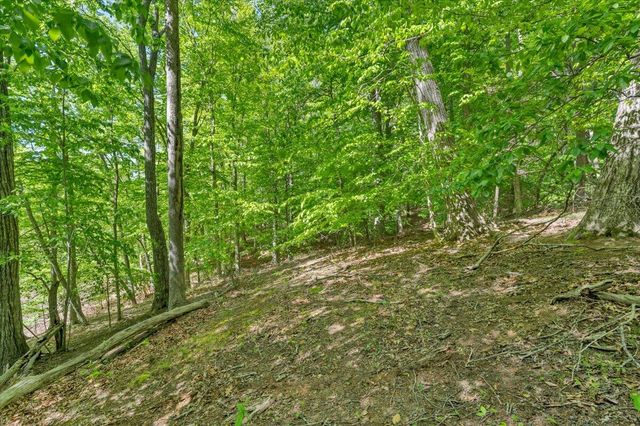 0 Somerset Cove RD, Union Hall, VA 24176