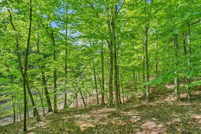 0 Somerset Cove RD, Union Hall, VA 24176