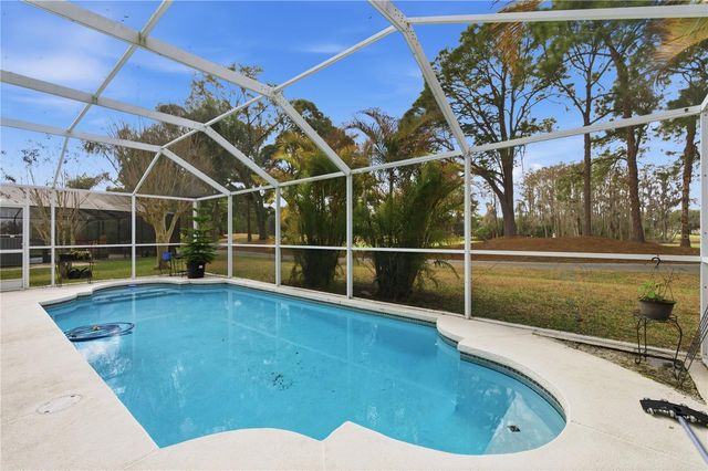 19014 CHEMILLE DRIVE, Lutz, FL 33558