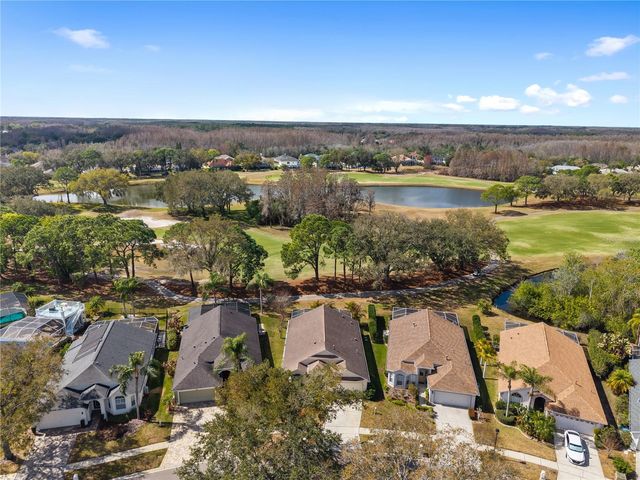 19014 CHEMILLE DRIVE, Lutz, FL 33558