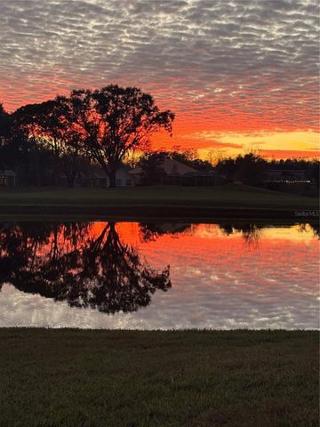 19014 CHEMILLE DRIVE, Lutz, FL 33558