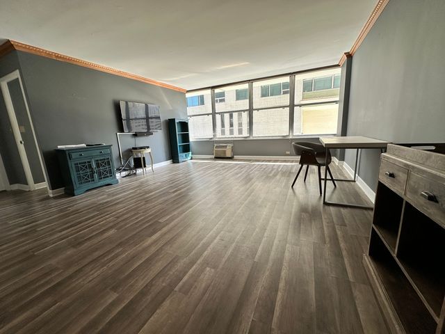 1000 N Lake Shore Drive 1007, Chicago, IL 60611