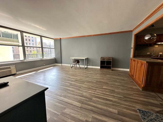 1000 N Lake Shore Drive 1007, Chicago, IL 60611