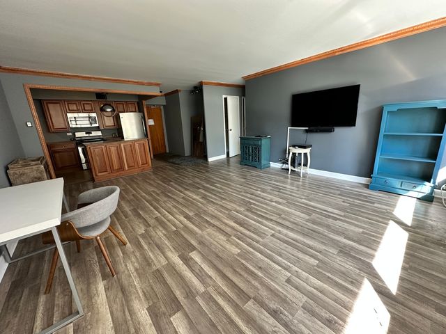 1000 N Lake Shore Drive 1007, Chicago, IL 60611