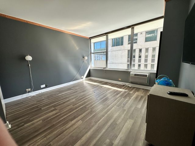 1000 N Lake Shore Drive 1007, Chicago, IL 60611