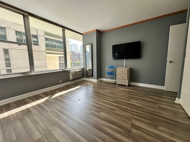 1000 N Lake Shore Drive 1007, Chicago, IL 60611