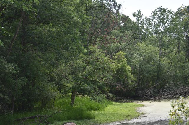 5500 Rowland Road, Hopkins, MN 55343