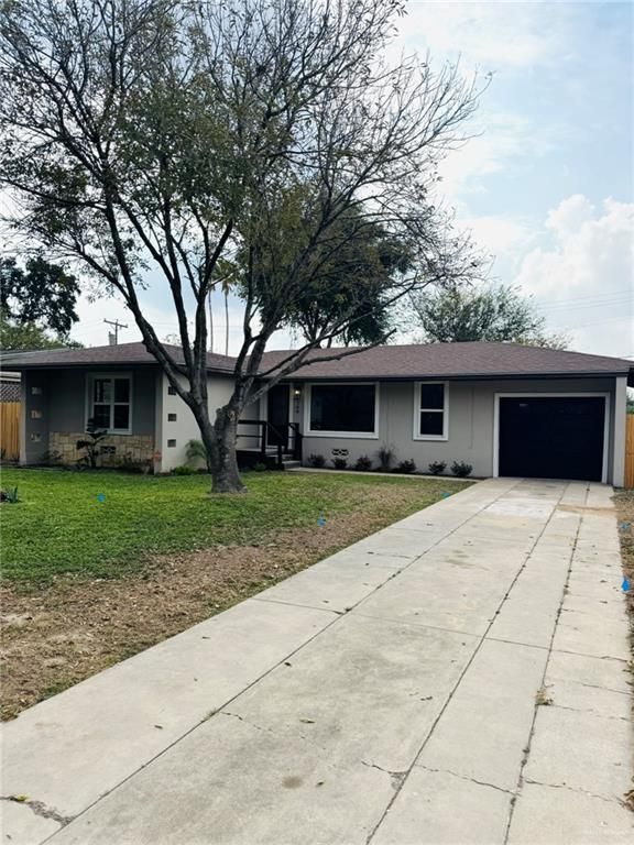 709 Tamarack Avenue, Mcallen, TX 78501