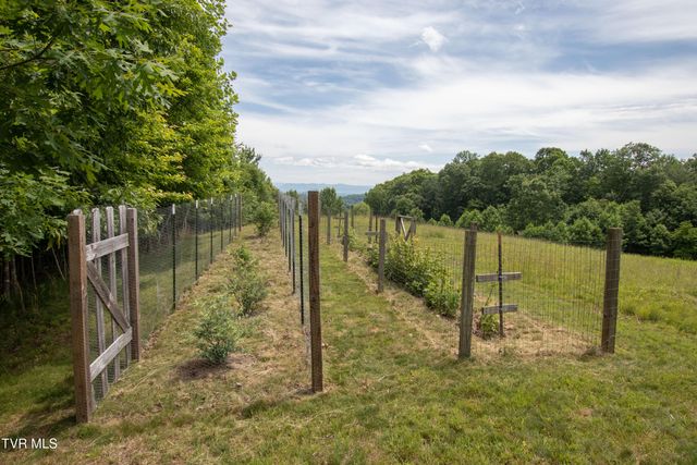 11106 Tree Top Drive, Meadowview, VA 24361