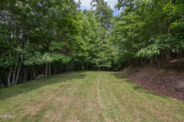11106 Tree Top Drive, Meadowview, VA 24361